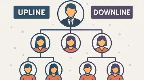 Upline and Downline in Multi-Level Marketing (MLM): Everything You Need to Know