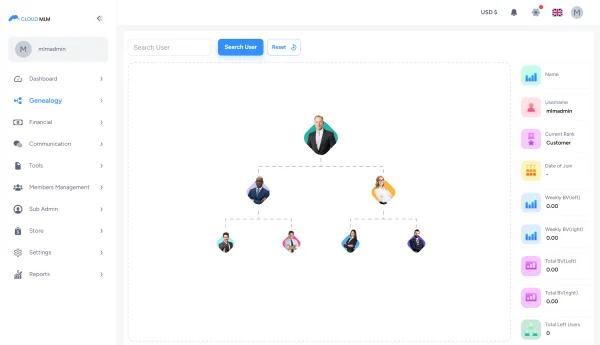 Binary MLM Plan Explained. A Beginner Friendly Guide to the Binary MLM System