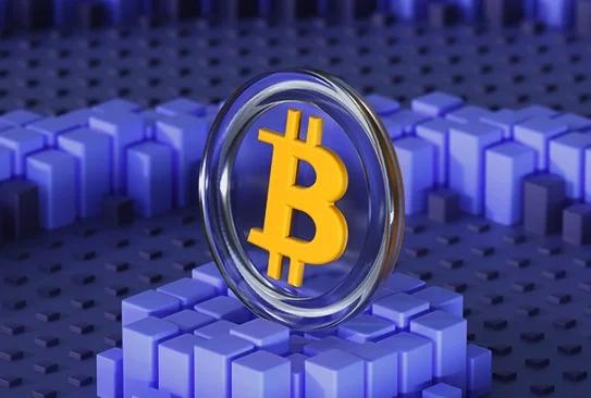 Cryptocurrency MLM Software