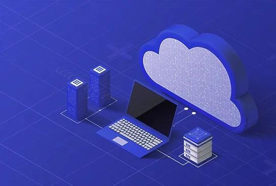 MLM Software Migration Services