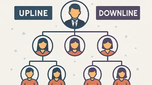 Upline and Downline in Multi-Level Marketing (MLM): Everything You Need to Know
